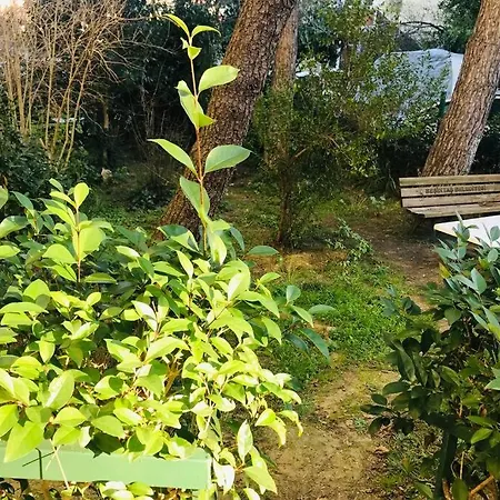 Etiler-Besiktas Luxury And Peaceful Garden Floor Apartment *